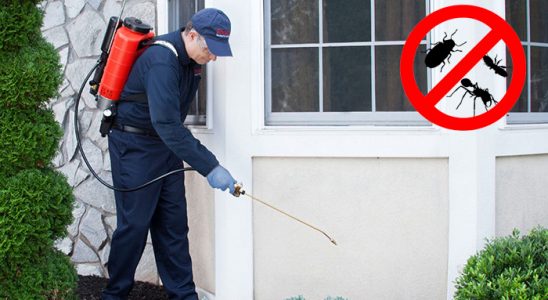 Amasra Dezenfeksiyon böcek ilaçlama ve haşere kontrolü — ilaclama-tr.com